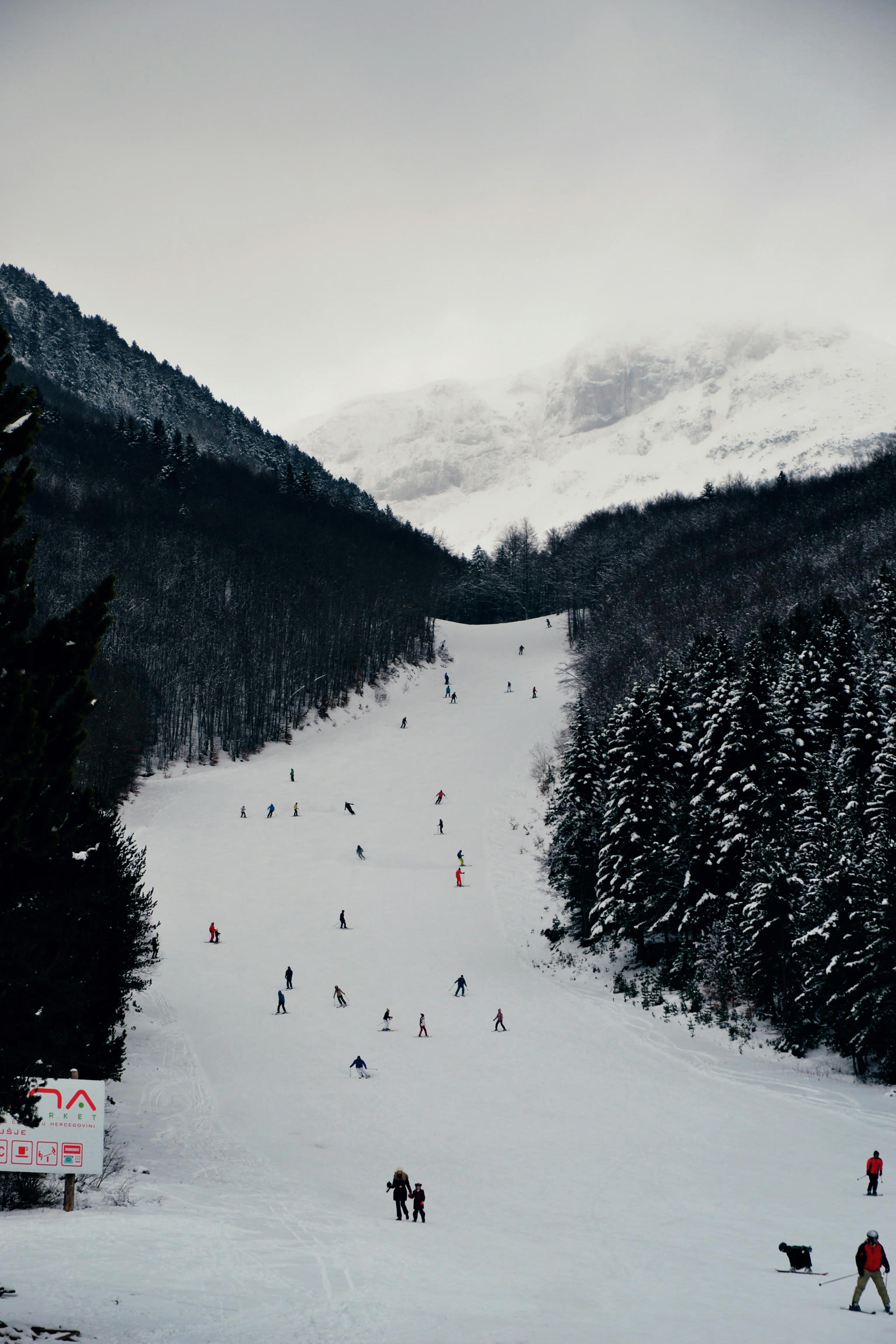 【2024新手滑雪】雪道等級大揭秘：選對你的專屬滑道，新手也能輕鬆玩轉雪場！🏂